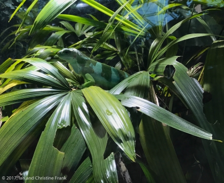 Can you see me?