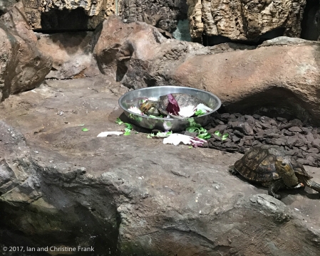 Dude, why are you in our food? It's totally easier this way!